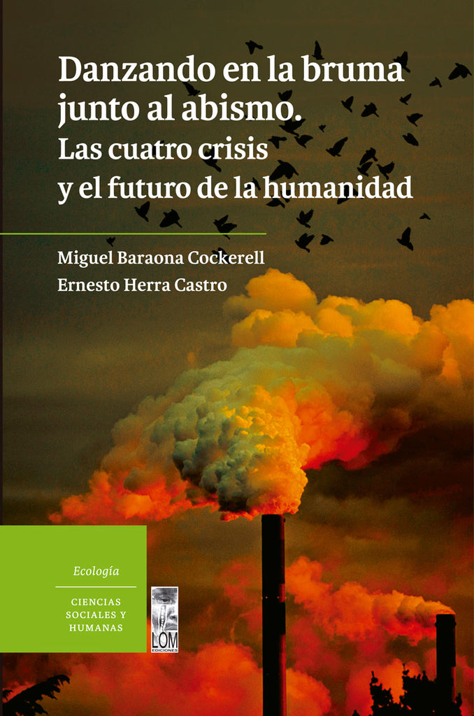 LIBRO DANZANDO EN LA BRUMA JUNTO AL ABISMO - MIGUEL BARAONA COCKERELL - 1