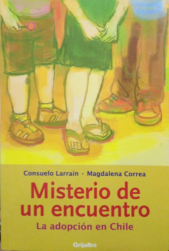 LIBRO MISTERIO DE UN ENCUENTRO - CONSUELO LARRAÍN - MAGDALENA CORREO - 1