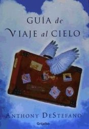 NOVELA JUVENIL GUÍA DE VIAJE AL CIELO ANTHONY DESTEFANO - 1