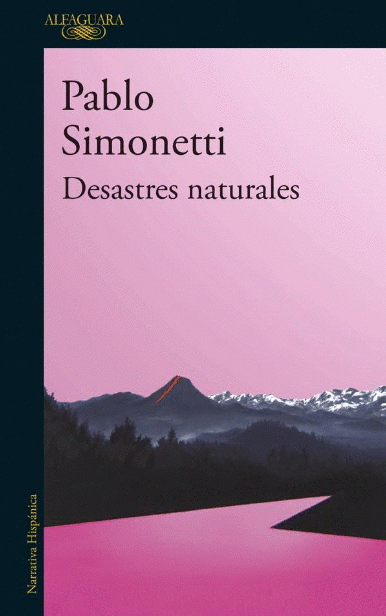 LIBRO DESASTRES NATURALES PABLO SIMONETTI - 1