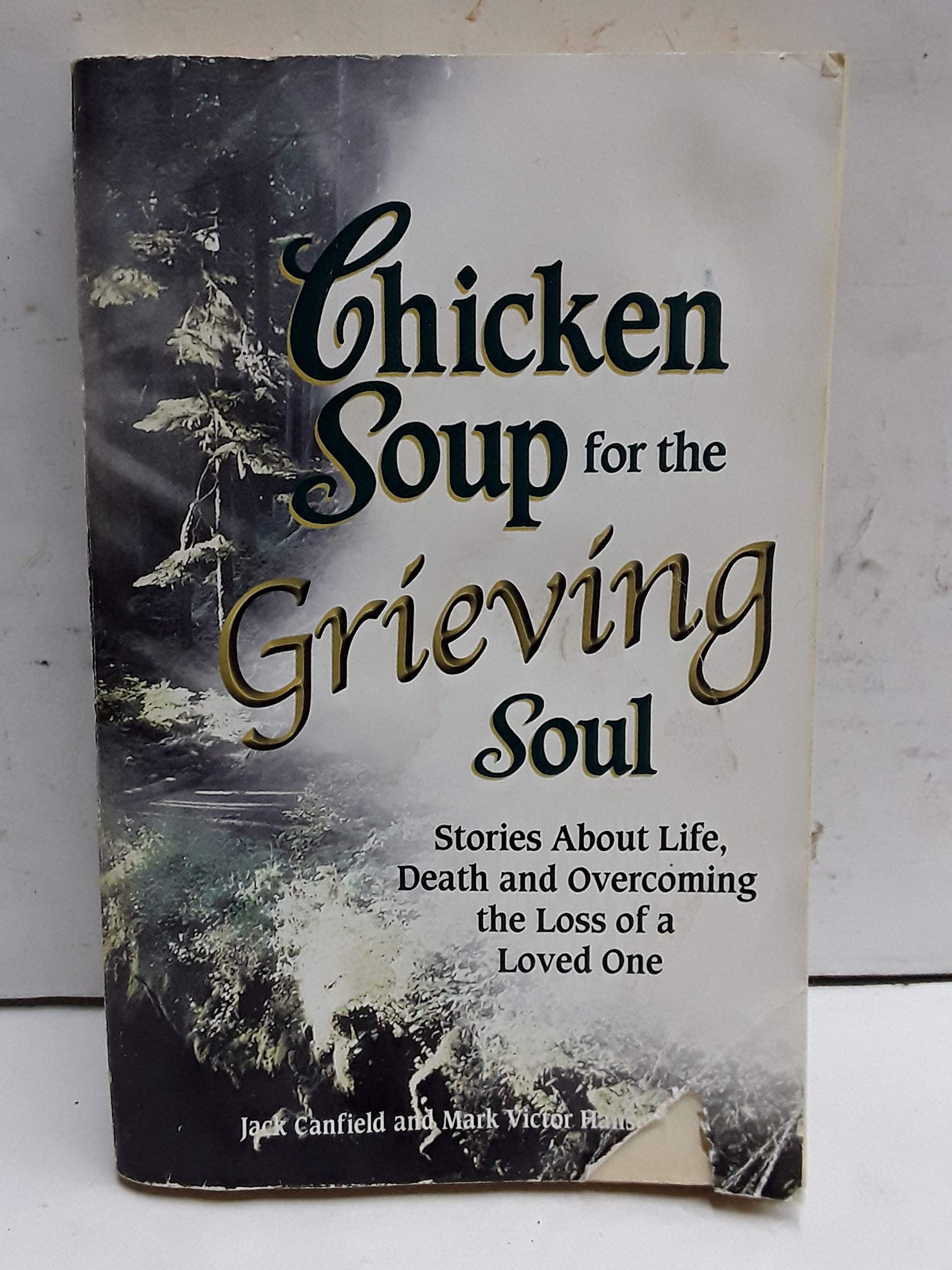 CHICKEN SOUP FOR THE GRIEVING SOUL - 1