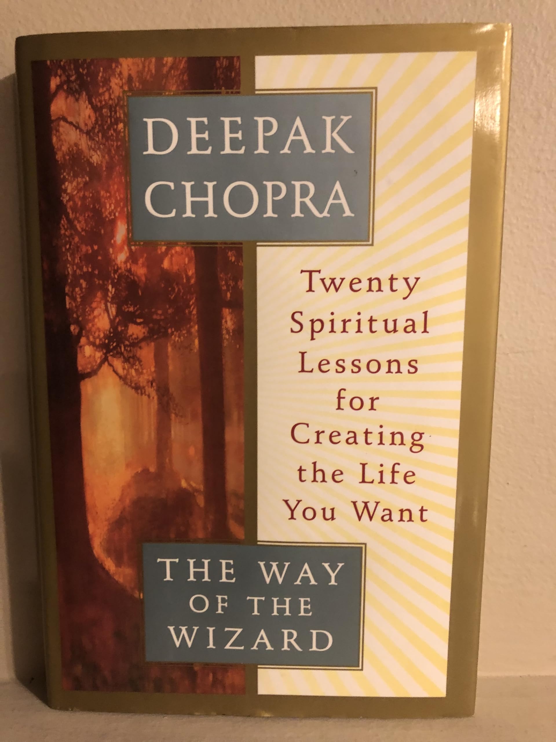 THE WAY OF THE WIZARD: TWENTY SPIRITUAL LESSONS FOR CREATING THE LIFE YOU WANT - 1