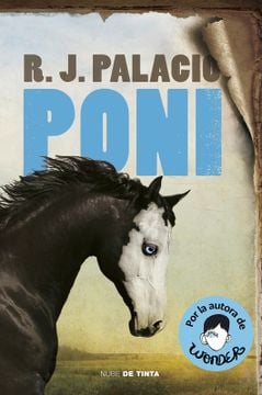 PONI - 1