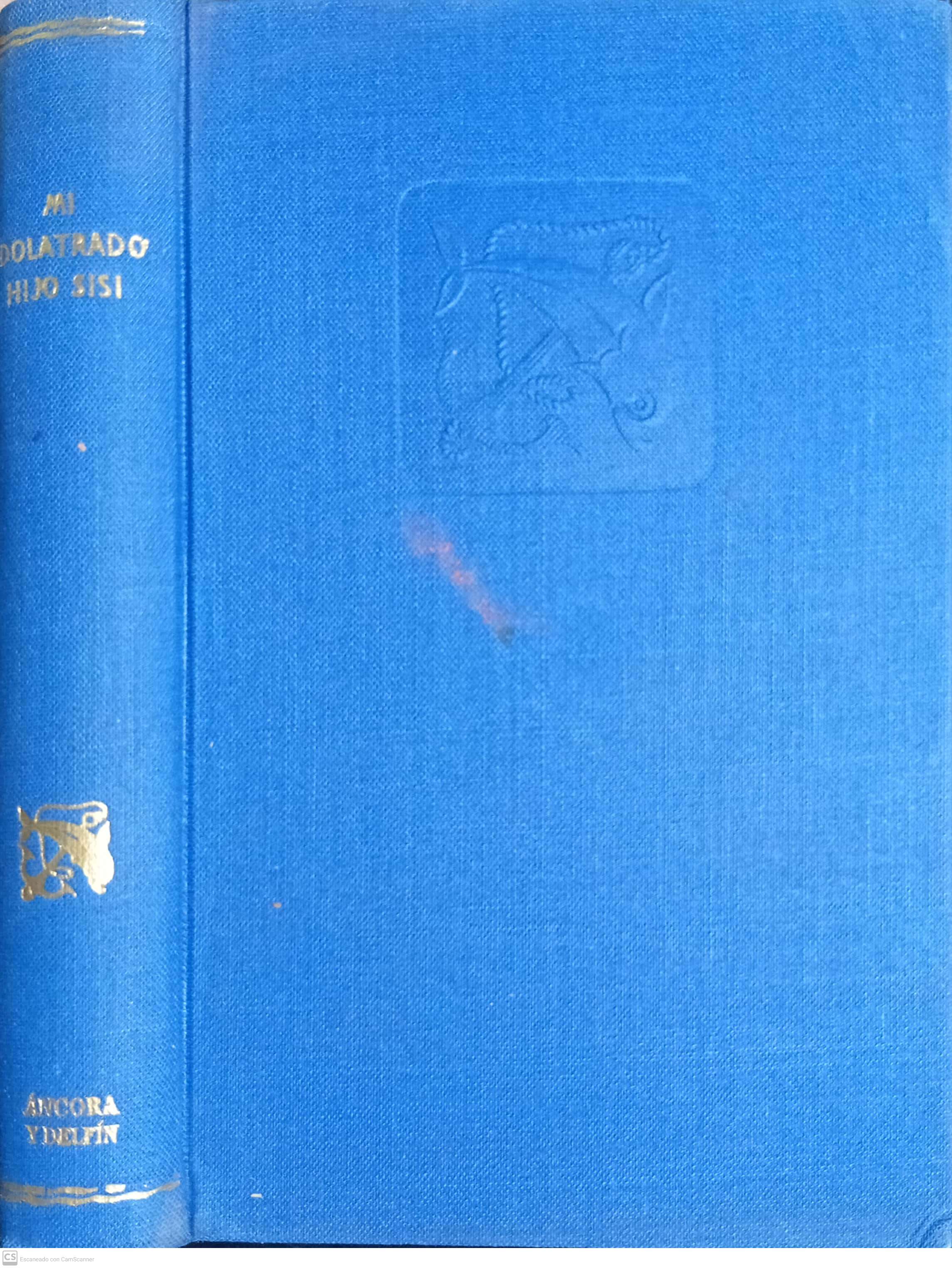 MI IDOLATRADO HIJO SISÍ - 1