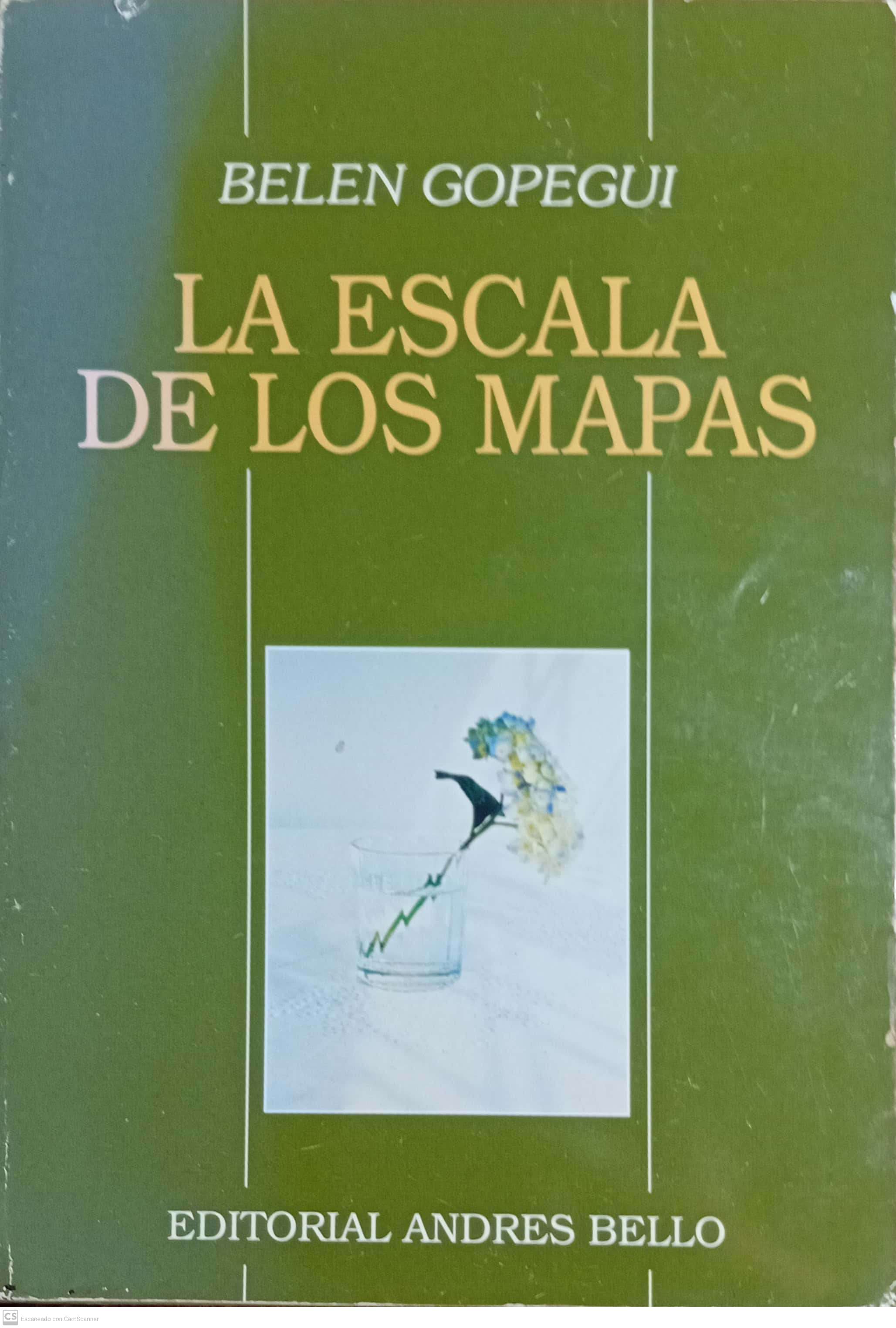LA ESCALA DE LOS MAPAS - 1