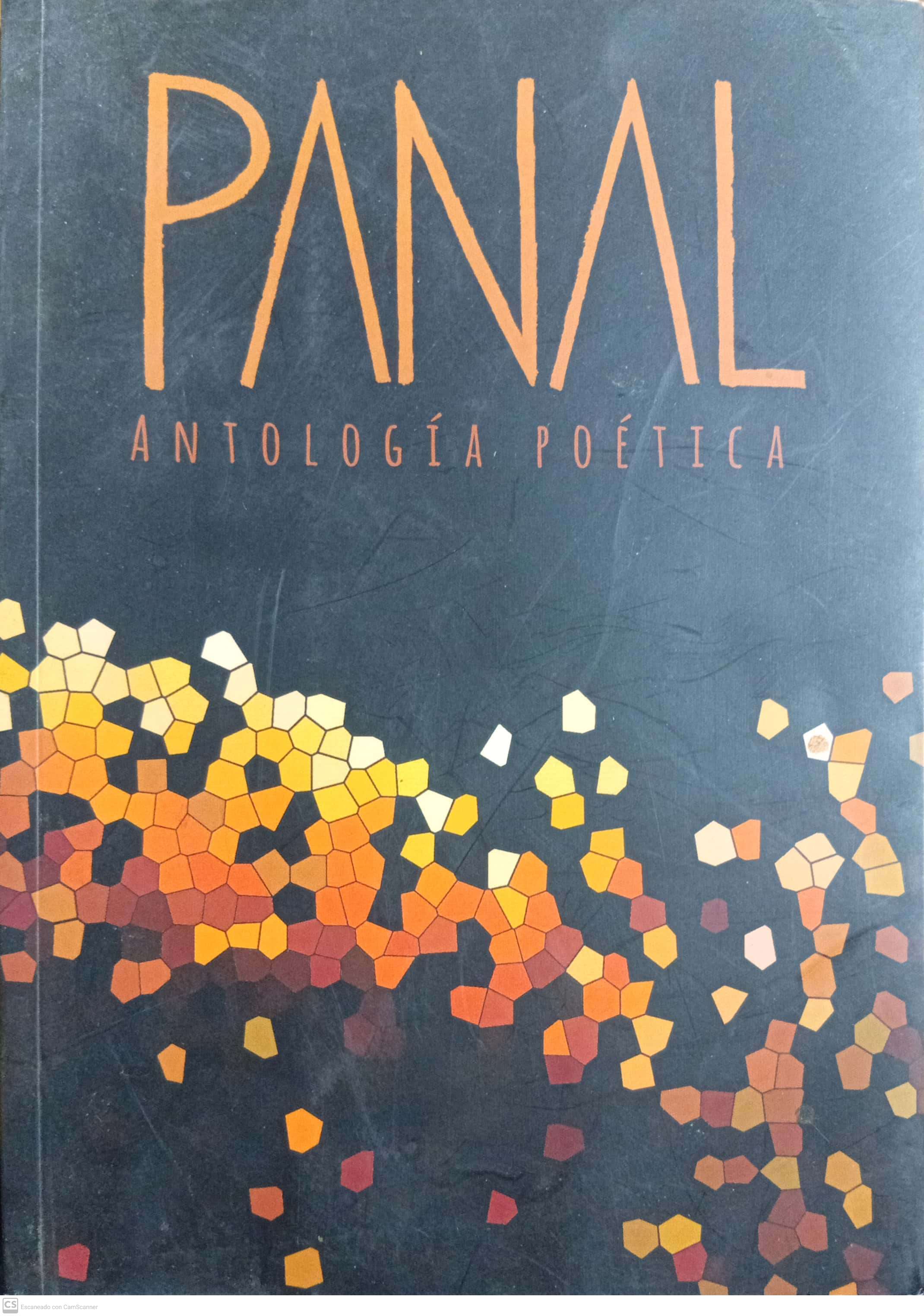 PANAL ANTOLOGIA POETICA - 1