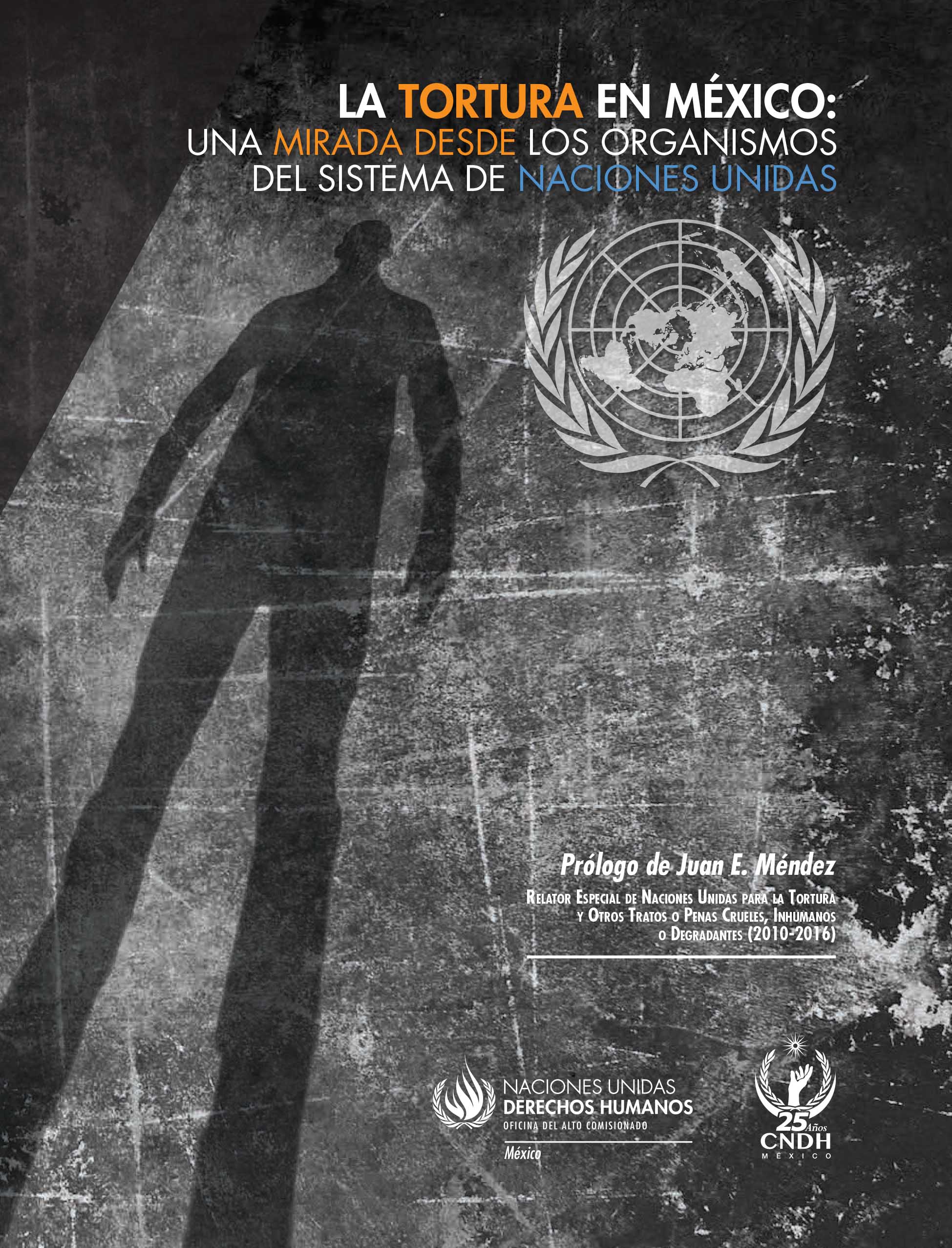 LA TORTURA EN MÉXICO: UNA MIRADA DESDE LOS ORGANISMOS DEL SISTEMA DE NACIONES UNIDAS. - 1