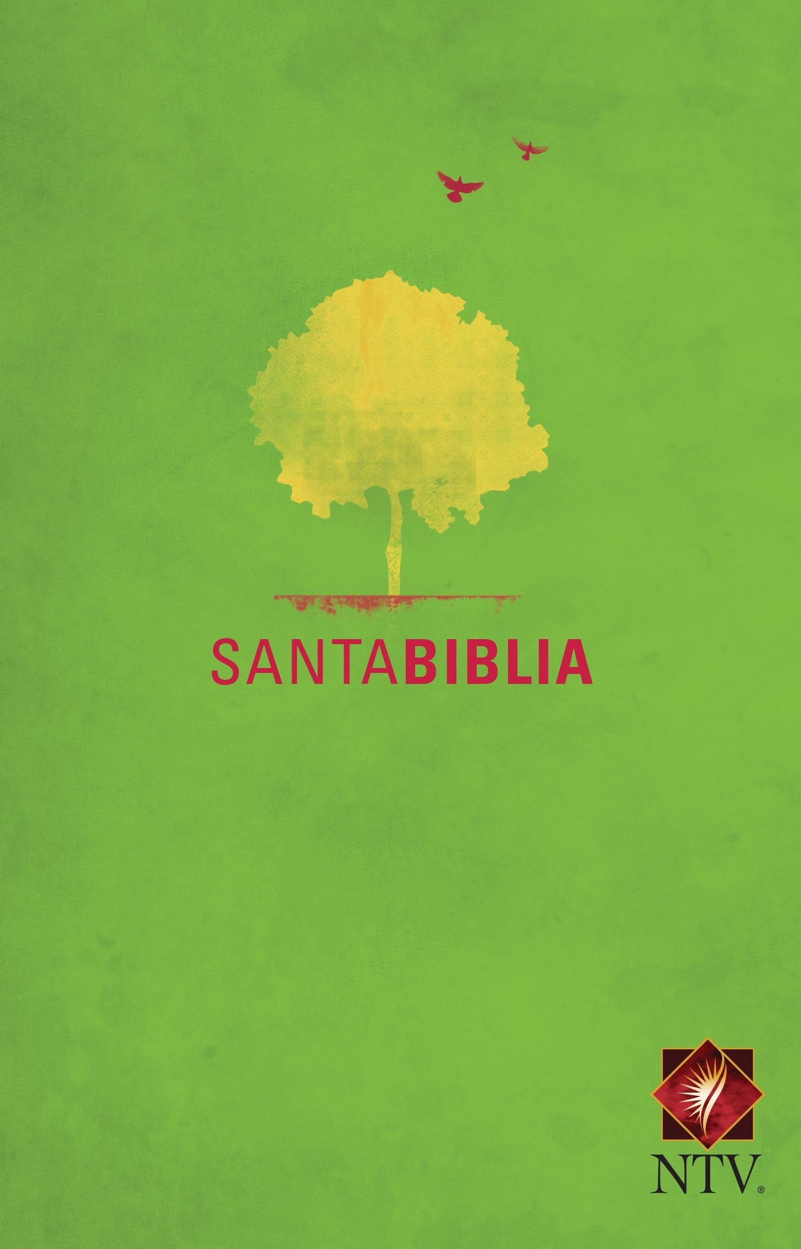 SANTA BIBLIA - 1