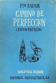 CAMINO DE PERFECCIÓN PASIÓN MÍSTICA - 1