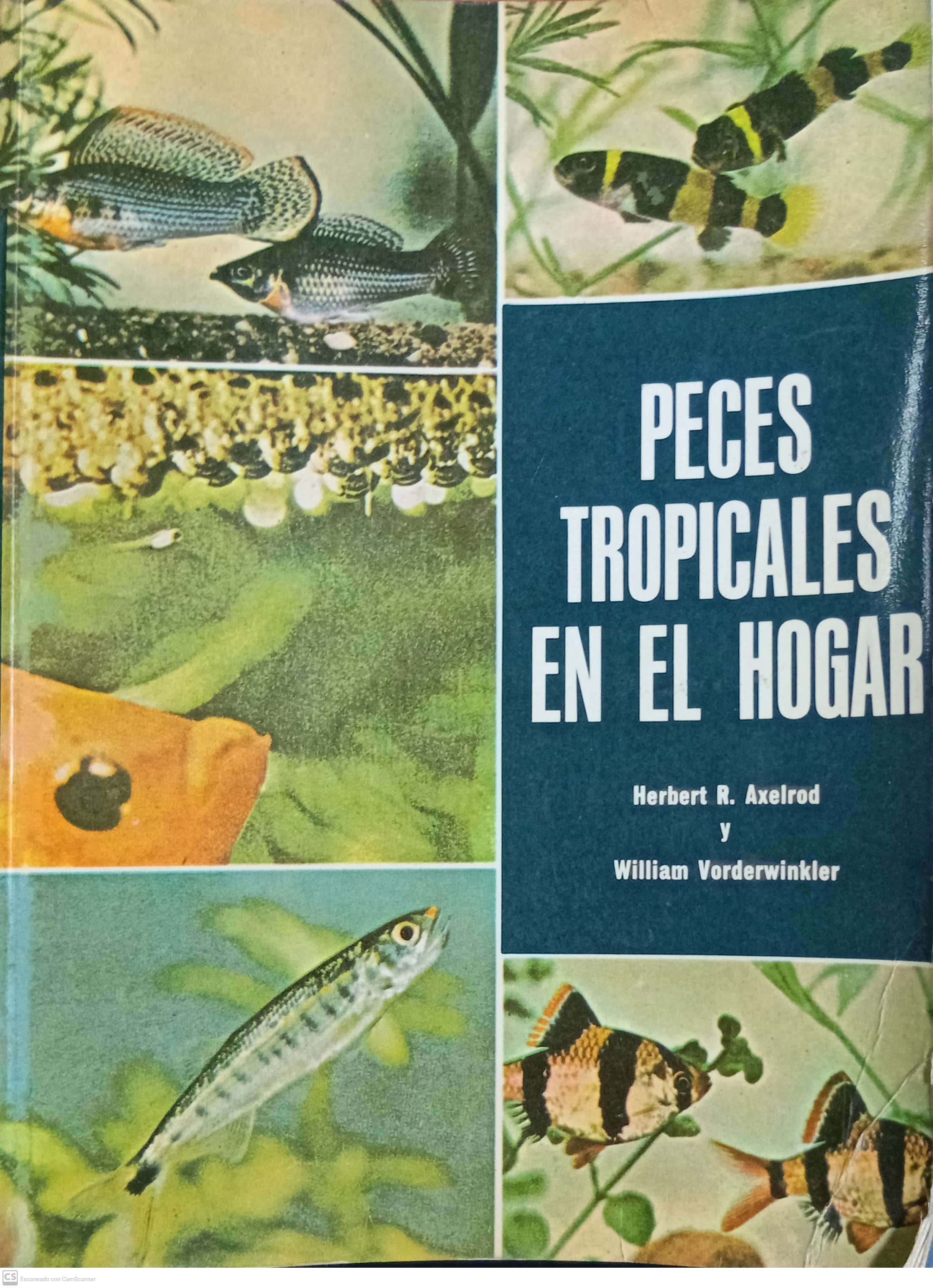 PECES TROPICALES EN EL HOGAR - 1