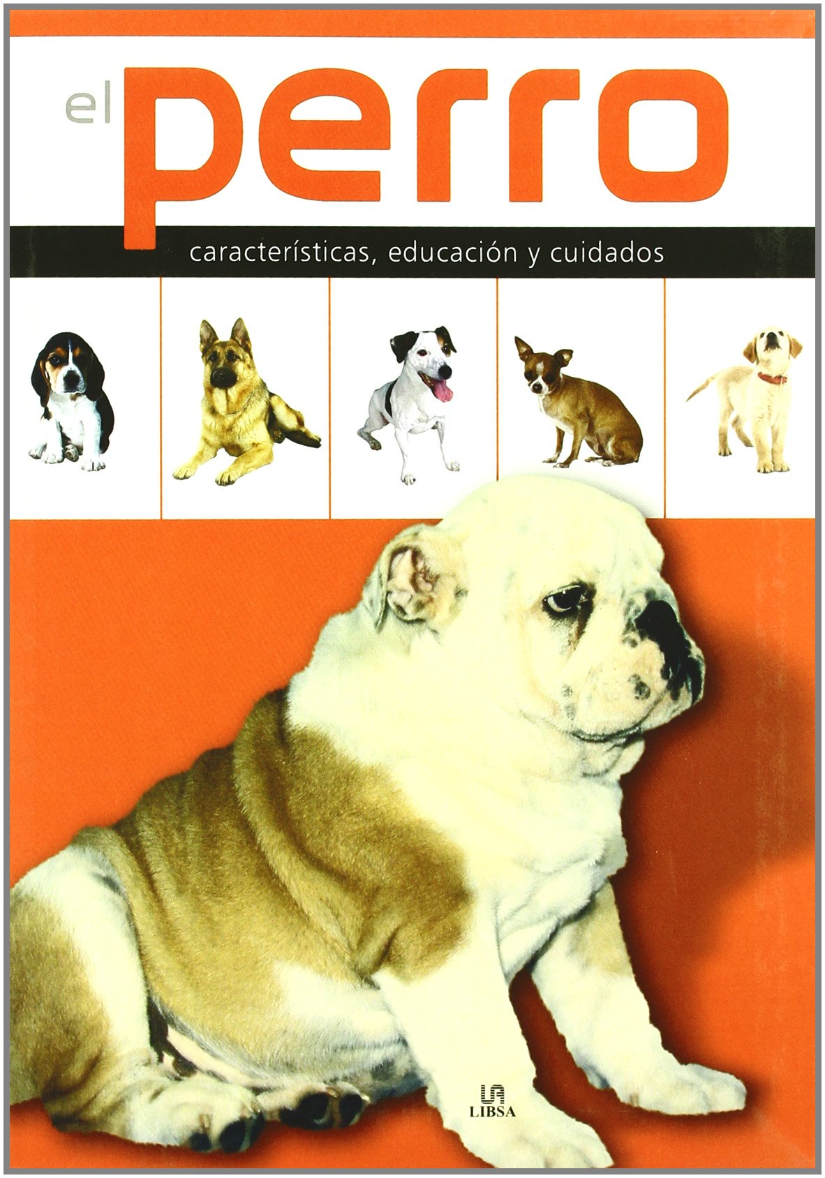 EL PERRO: CARACTERÍSTICAS, EDUCACIÓN Y CUIDADOS - 1