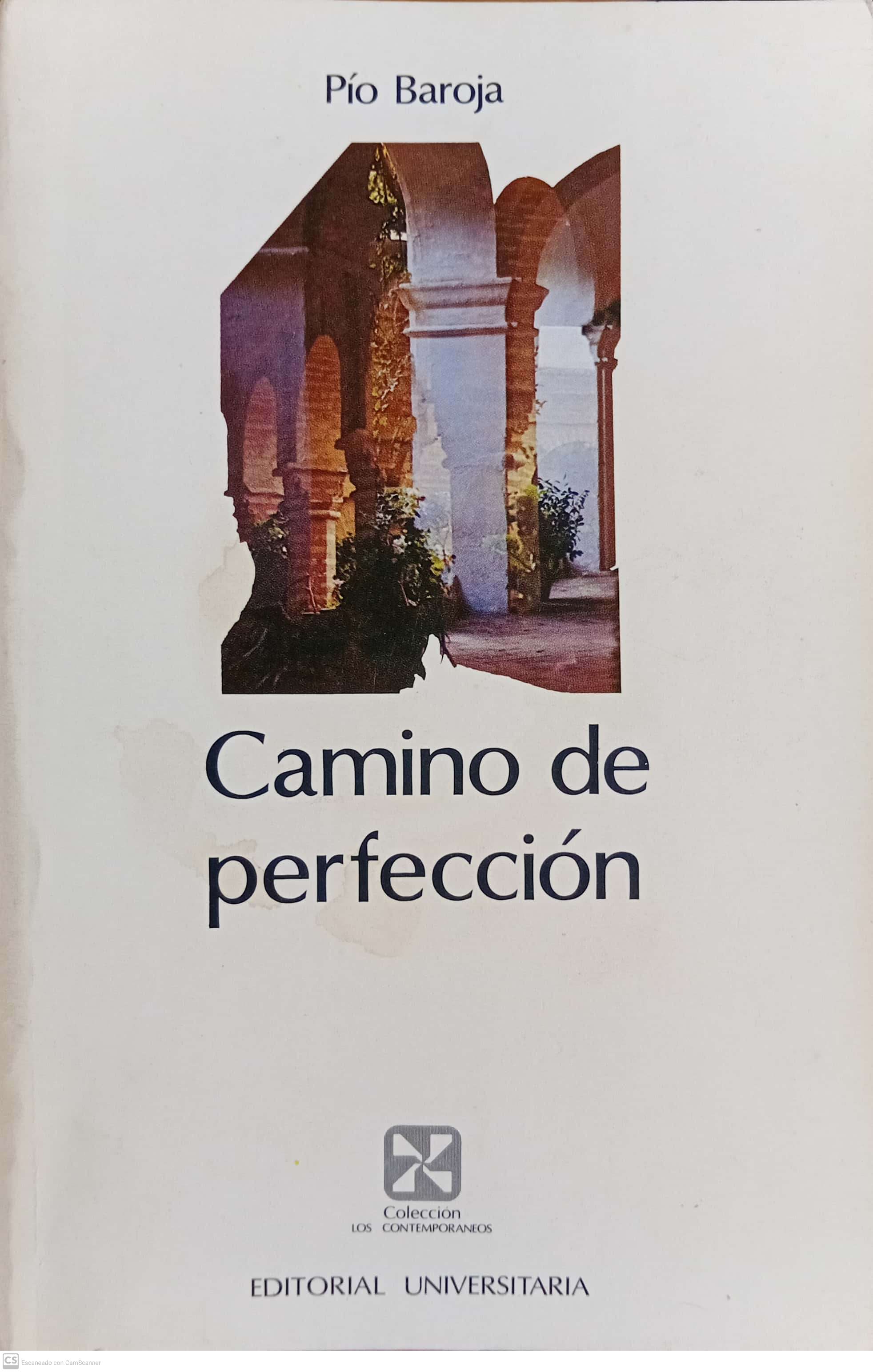 CAMINO A LA PERFECCION - 1