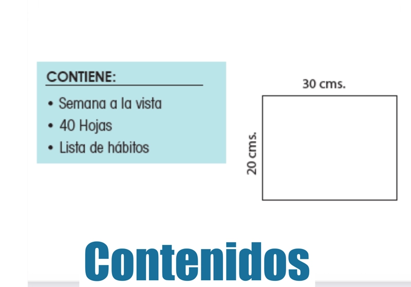 CALENDARIO AGENDA PLANIFICADOR SEMANAL ASCOTT 40HJ 29,7X21CM. - 4