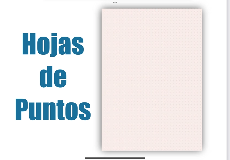 CALENDARIO AGENDA PLANIFICADOR SEMANAL TD ASCOTT 80HJ ROSE - 3