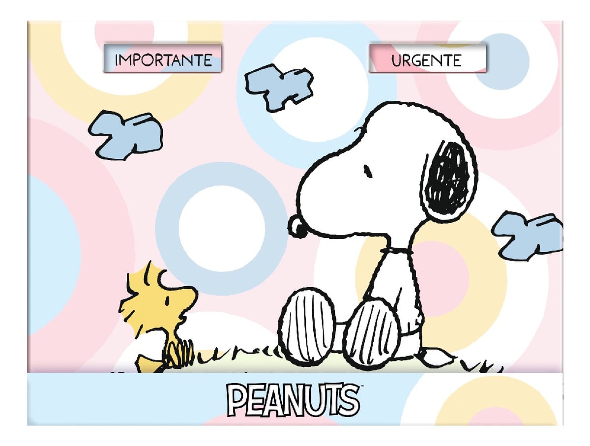 CAJA LUJO PREMIUM PAPER NOTAS ADHESIVAS SNOOPY PASTEL IMPORTANTE URGENTE - 2