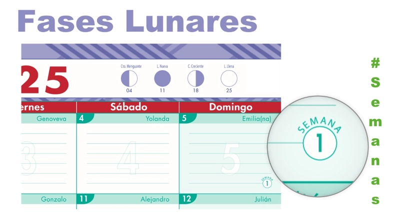 PLANNER BUHO CALENDARIO AGENDA MENSUAL DE ESCRITORIO TRABAJO 2027 - 10U - 9