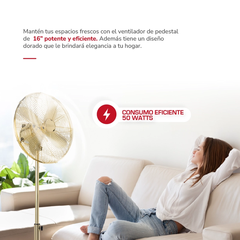 VENTILADOR DE PEDESTAL TH-16DP - 4