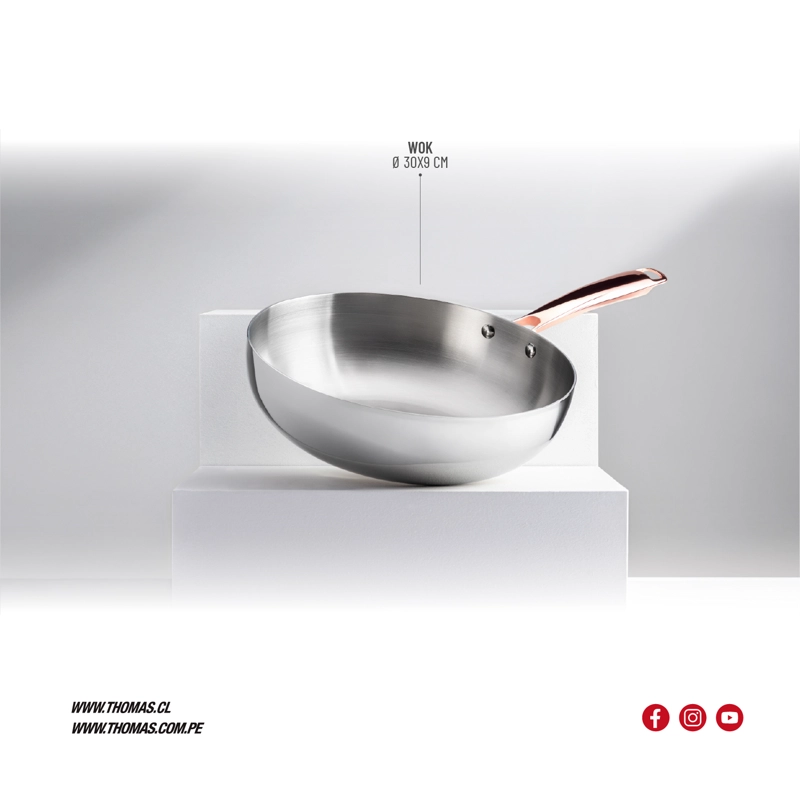 WOK 30CM ACERO INOXIDABLE TH-MWK30I - 5