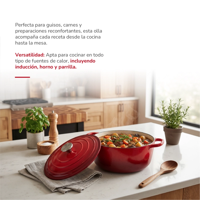 OLLA HIERRO FUNDIDO 24CM TH-MCA24R - 3