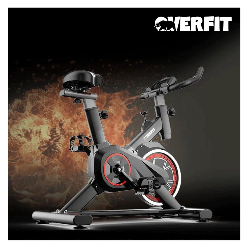 BICICLETA DE SPINNING ESTATICA PROFESIONAL  EJERCICIO - 8