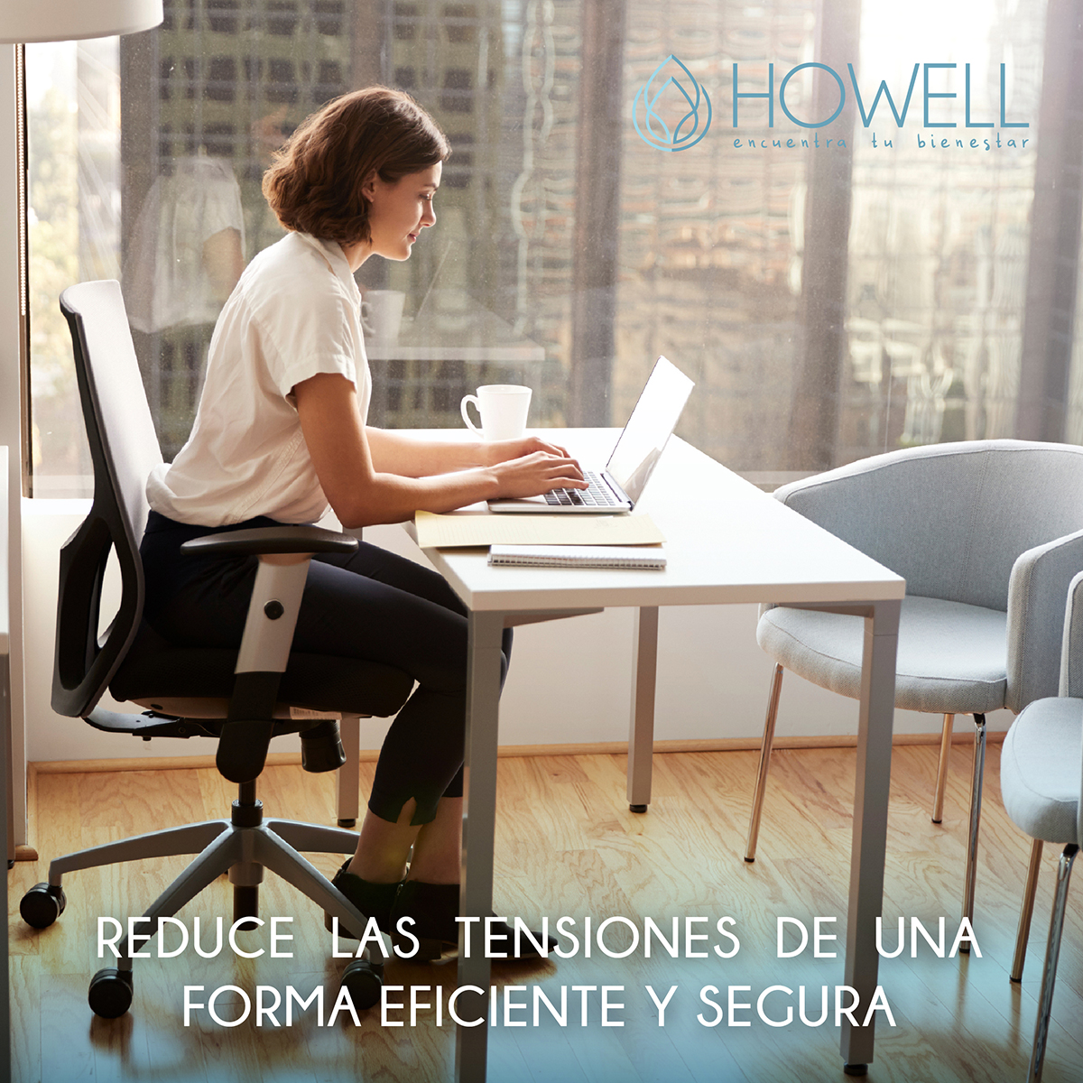 COJÍN HOWELL LUMBAR ORTOPÉDICO VISCOELÁSTICO ASIENTO - 6