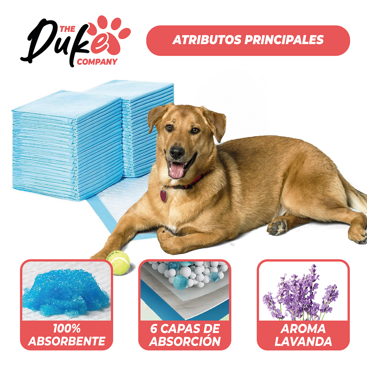 SABANILLAS PARA PERRO 90X60 DUKE 6 CAPAS AROMATICAS 40U - 4