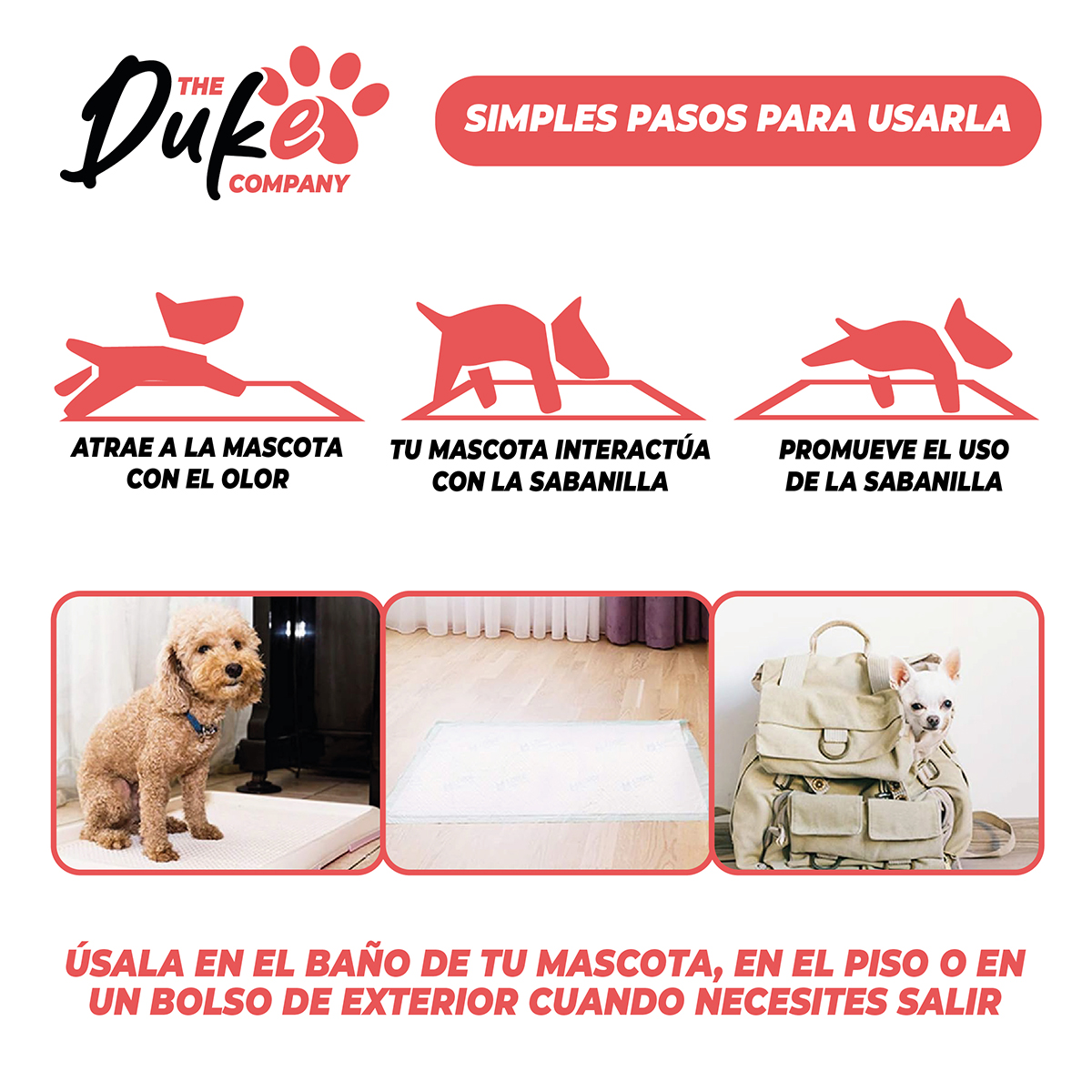 SABANILLAS PARA PERRO 90X60 DUKE 6 CAPAS AROMATICAS 40U - 5