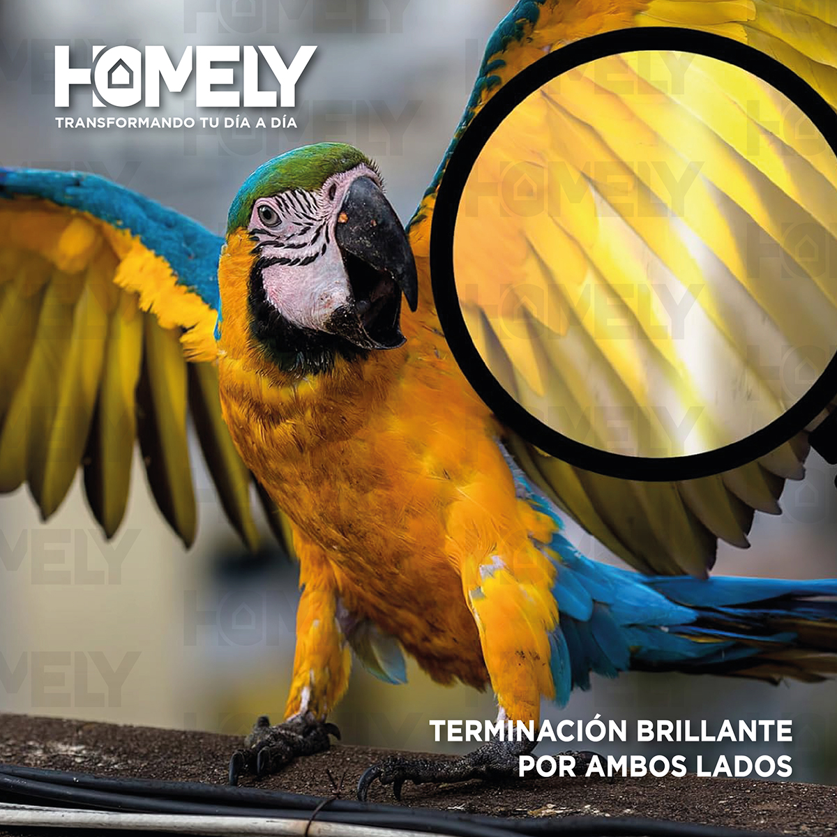 PAPEL FOTOGRÁFICO HOMELY A4 DOBLE FAZ CAMARA FOTO 100 UNIDAD - 4