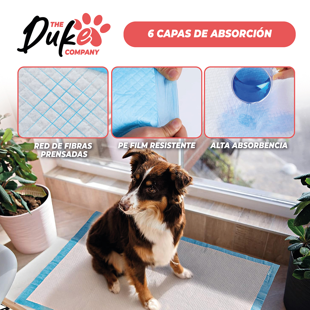 SABANILLAS PARA PERRO 45X60 DUKE 6 CAPAS AROMATICAS 100U - 5