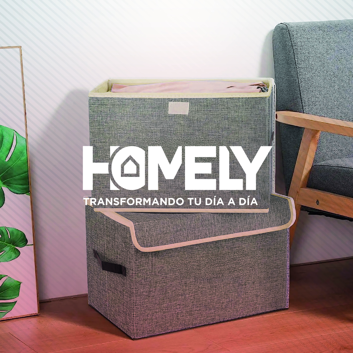CAJAS ORGANIZADORAS HOMELY TAPA TELA IMPERMEABLE 22L SET X2 - 8