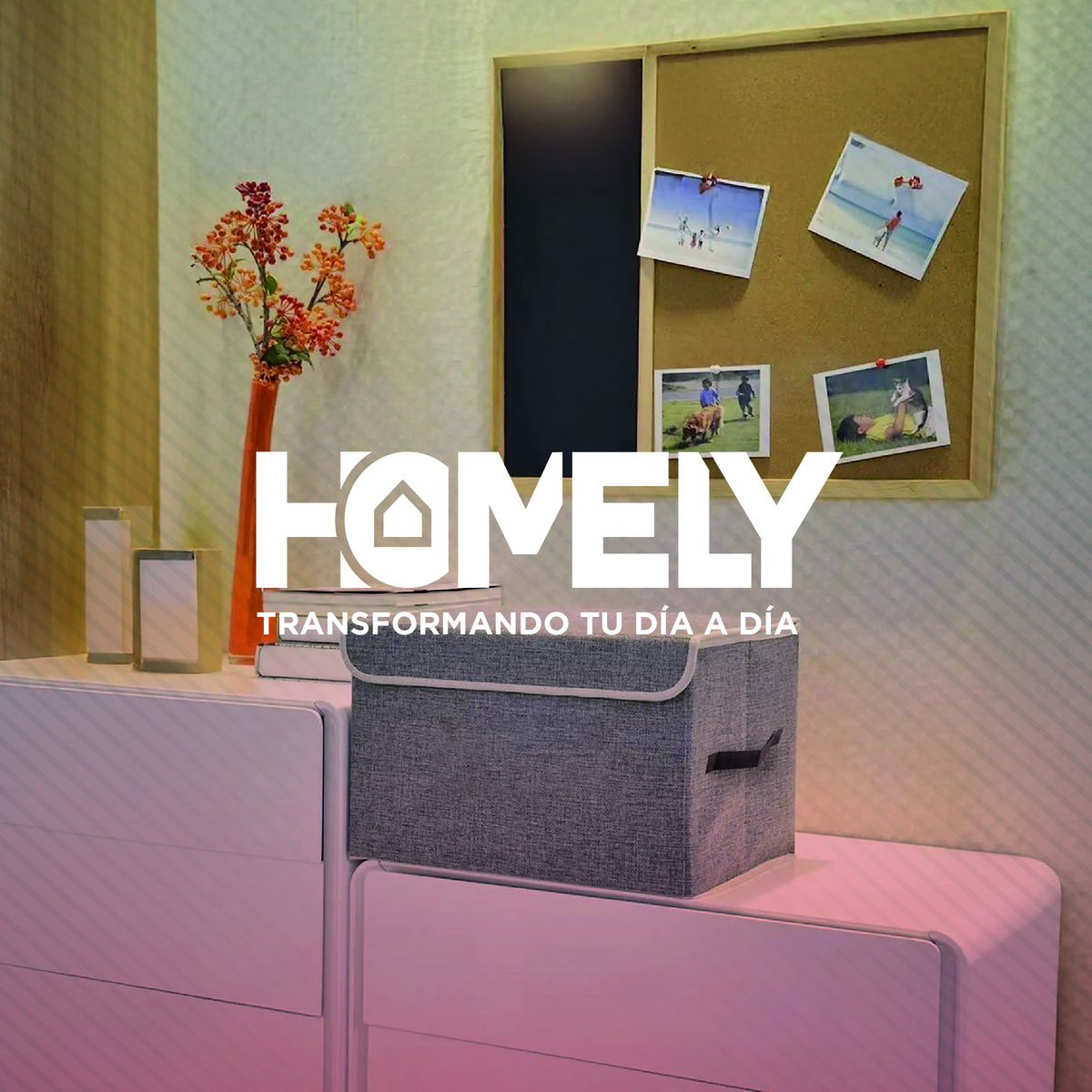 CAJAS ORGANIZADORAS HOMELY TAPA TELA IMPERMEABLE 22L SET X2 - 9