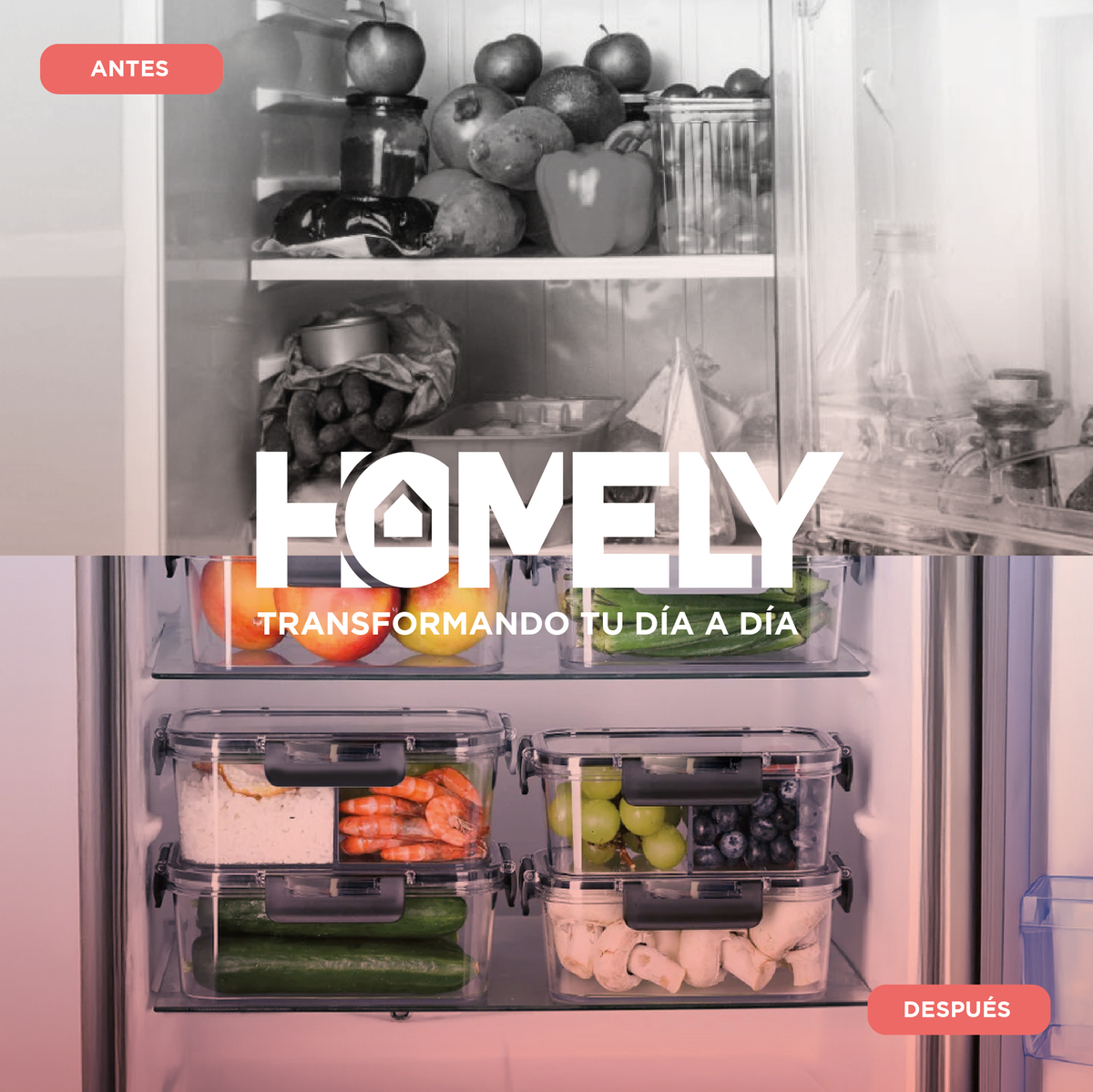 TUPPER HERMETICO COMIDA HOMELY VIDRIO TEMPLADO SET X4 3.57 L - 7