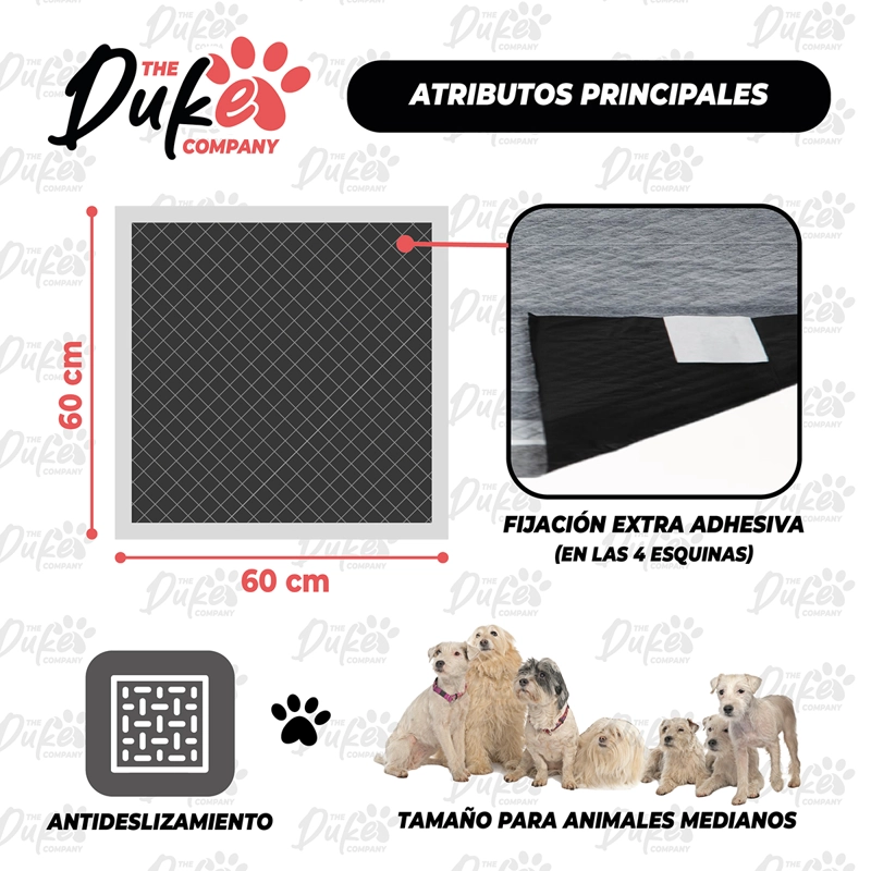 SABANILLAS DE PERRO CARBON 60X60 DUKE 6 CAPAS AROMATICAS 40U - 2