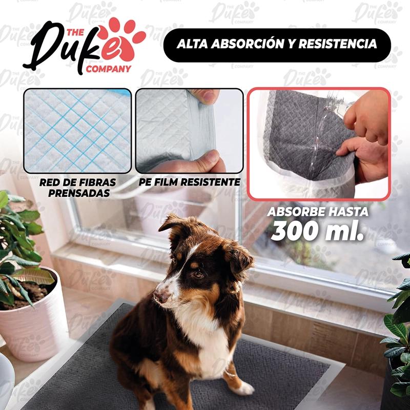 SABANILLAS DE PERRO CARBON 60X60 DUKE 6 CAPAS AROMATICAS 40U - 4