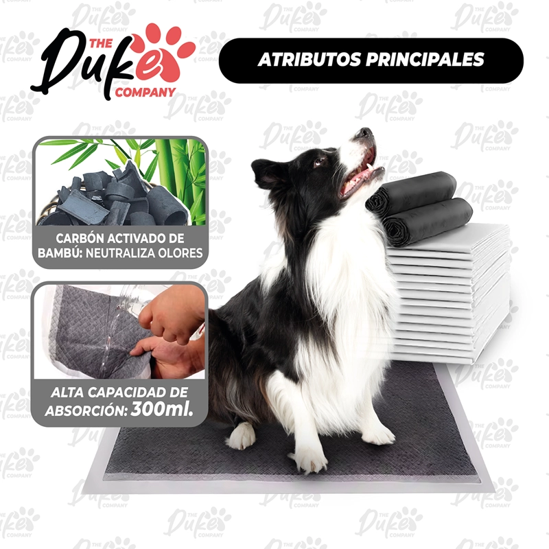 SABANILLAS DE PERRO CARBON 60X60 DUKE 6 CAPAS AROMATICAS 40U - 5