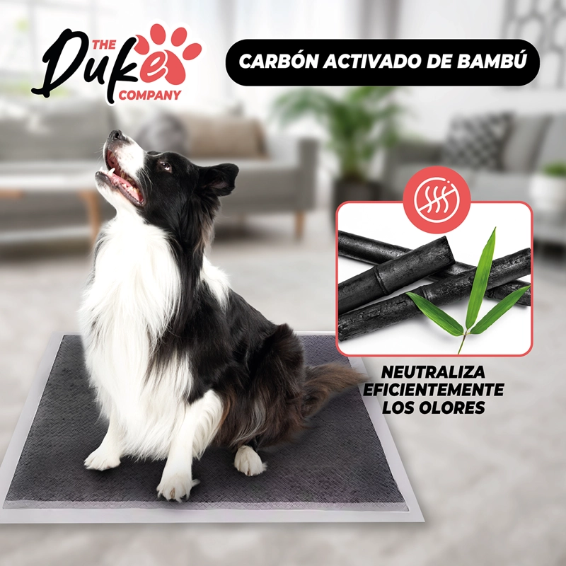 SABANILLAS DE PERRO CARBON 60X60 DUKE 6 CAPAS AROMATICAS 40U - 7