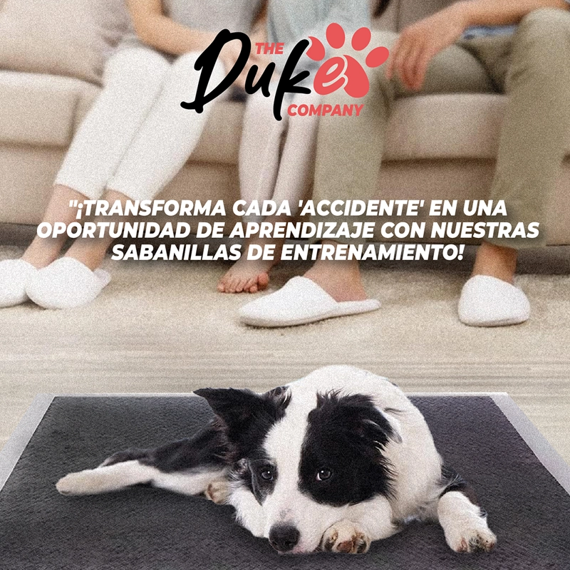 SABANILLAS DE PERRO CARBON 60X60 DUKE 6 CAPAS AROMATICAS 40U - 9