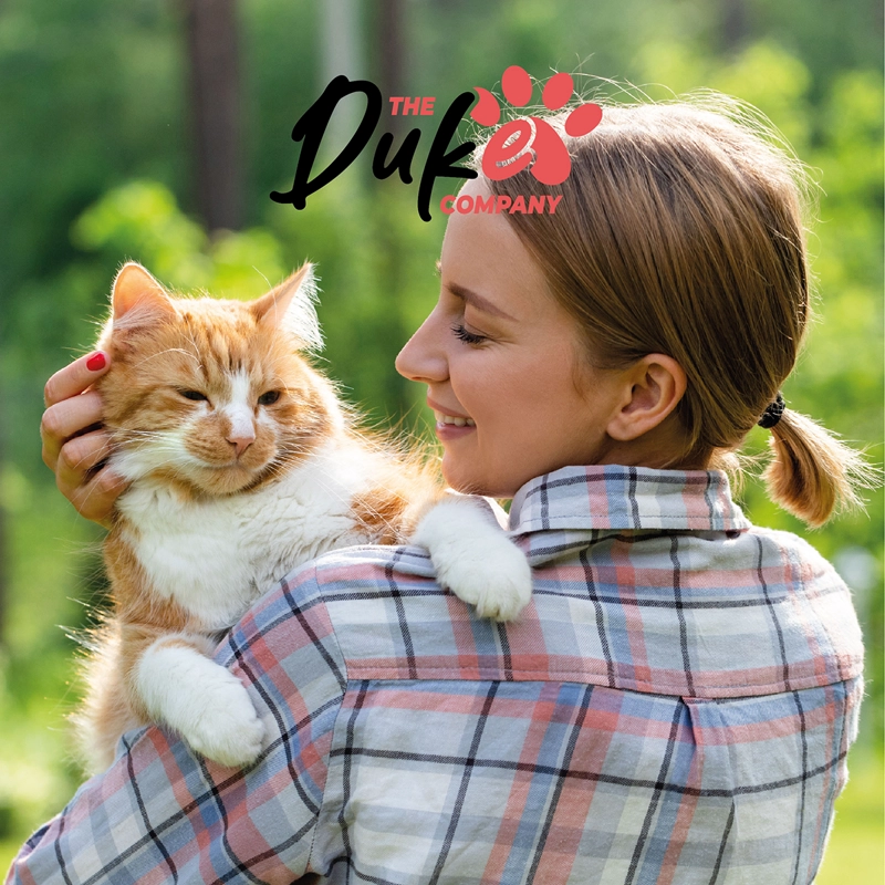 ARENA PARA GATO 20 KILOS DUKE BENTONITA AGLUTINANTE LAVANDA - 9