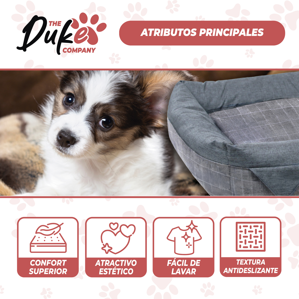 CAMA PARA PERRO MASCOTAS ANTIESTRES LAVABLE DUKE TALLA S - 3