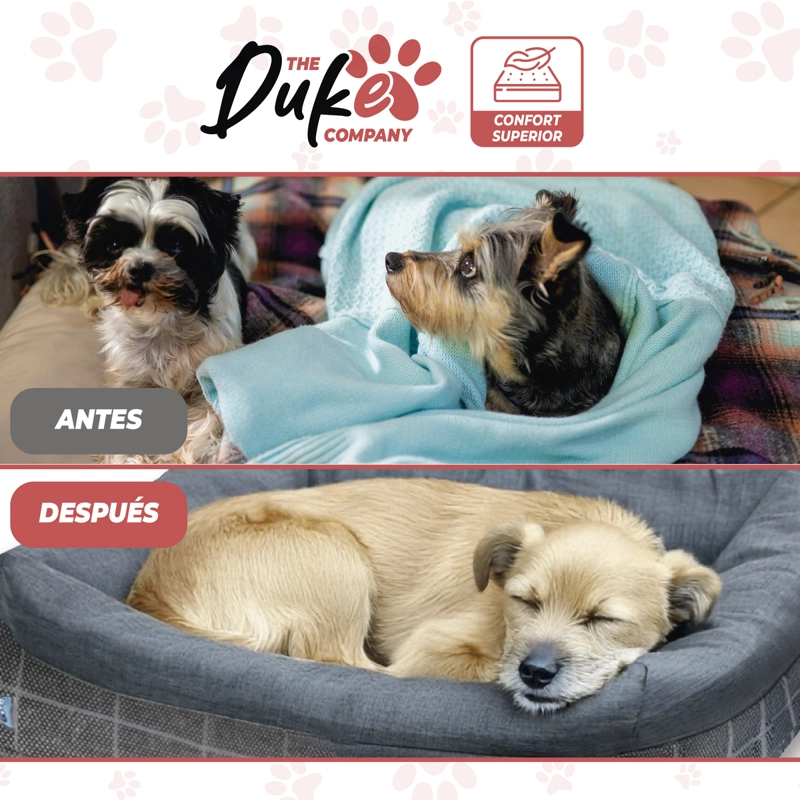 CAMA PARA PERRO MASCOTAS ANTIESTRES LAVABLE DUKE TALLA S - 5