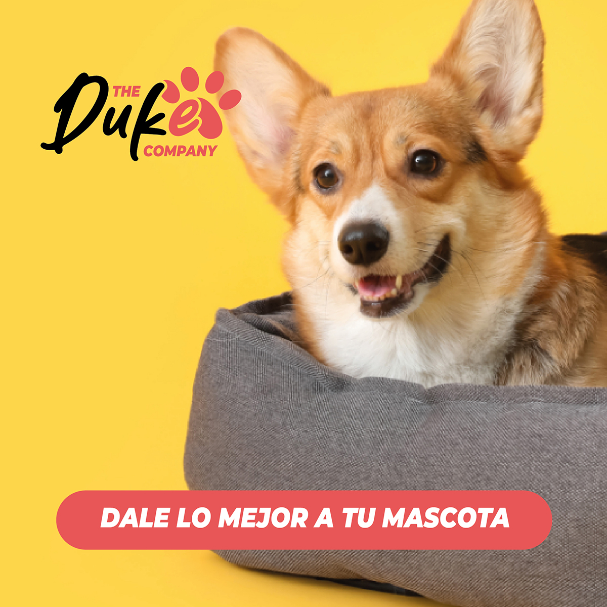 CAMA PARA PERRO MASCOTAS ANTIESTRES LAVABLE DUKE TALLA S - 8