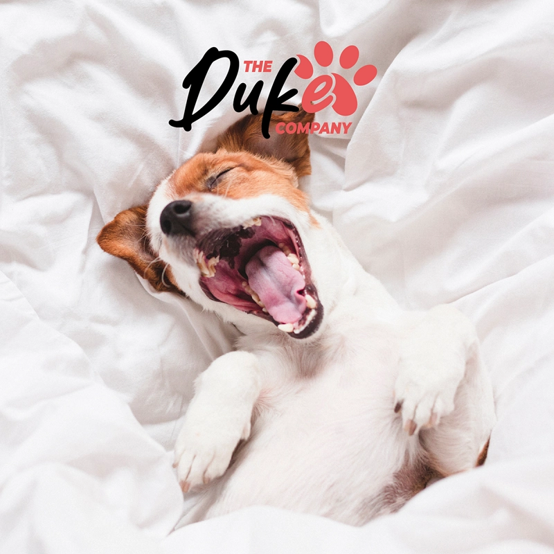 CAMA PARA PERRO MASCOTAS ANTIESTRES LAVABLE DUKE TALLA S - 9