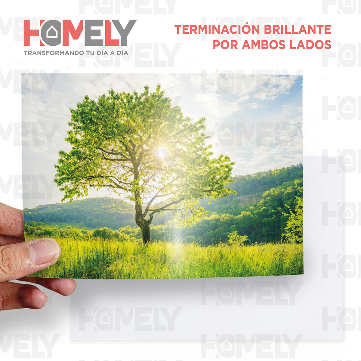PAPEL FOTOGRAFICO DOBLE FAZ BRILLANTE A4 220GR HOMELY 50HJS - 7
