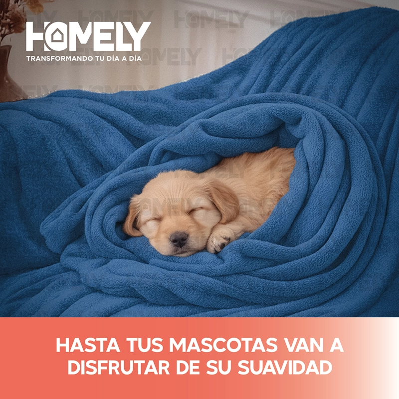 FRAZADA POLAR TERMICA QUEEN HOMELY MANTA 220X220CM 300GSM - 7
