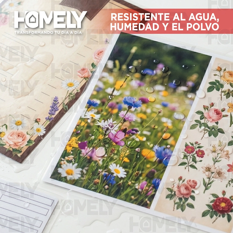 LAMINAS TERMOLAMINADORA CARTA 100 MICAS 125 MICRONES HOMELY PLASTIFICADORA - 6