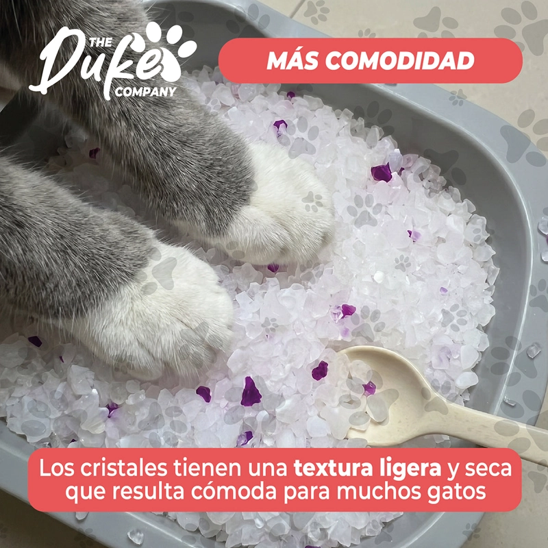 ARENA SANITARIA PARA GATO DE CRISTAL DUKE 1.6KG AROMA LAVANDA SILICE ABSORBENTE ANTIOLOR - 9