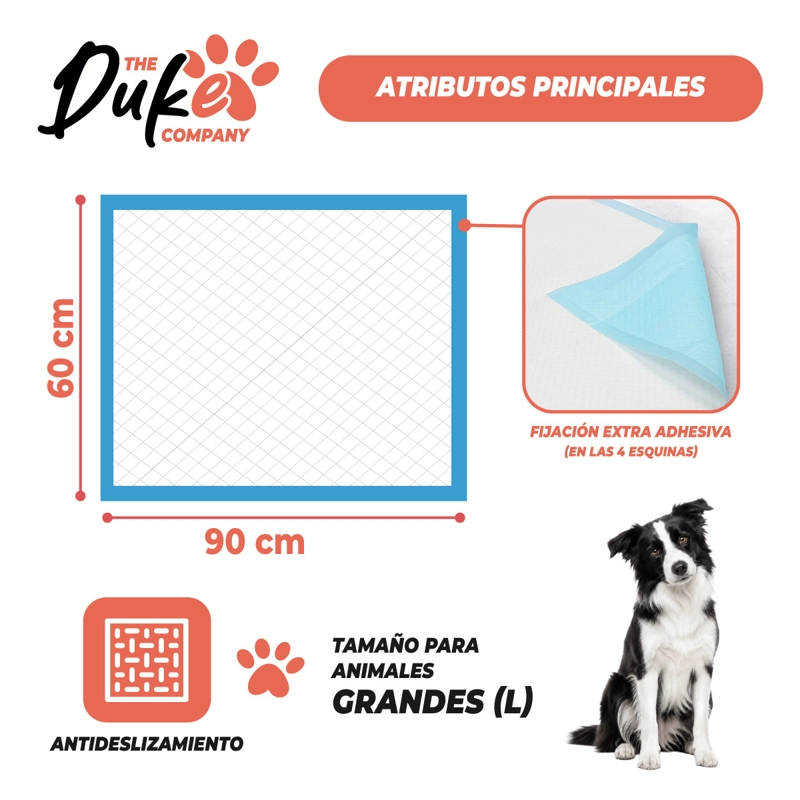 SABANILLAS ENTRENAMIENTO PERROS DUKE 90X60CM PACK 30 TRAINING PAD ABSORBENTE IMPERMEABLE - 5