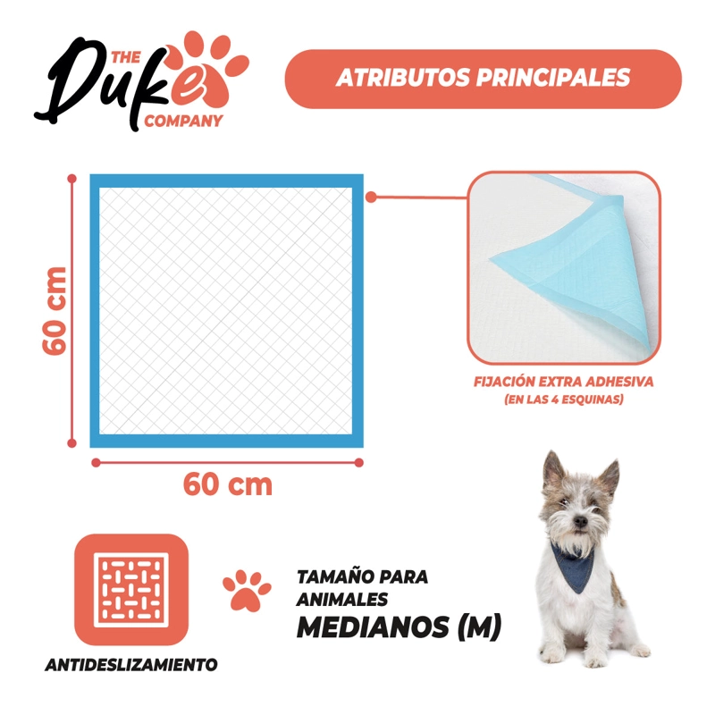 SABANILLAS ENTRENAMIENTO PERROS DUKE 60X60CM PACK 30 TRAINING PAD ABSORBENTE IMPERMEABLE - 5