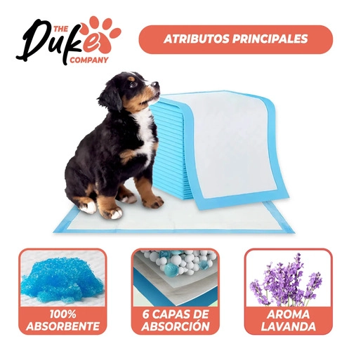 SABANILLAS ENTRENAMIENTO PERRO DUKE 60X60CM PACK 90 TRAINING PAD ABSORBENTE IMPERMEABLE BLANCO - 3