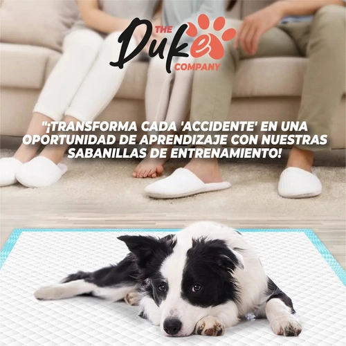 SABANILLAS ENTRENAMIENTO PERRO DUKE 60X60CM PACK 90 TRAINING PAD ABSORBENTE IMPERMEABLE BLANCO - 8